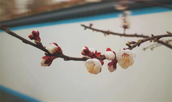 心灵融合的旅程