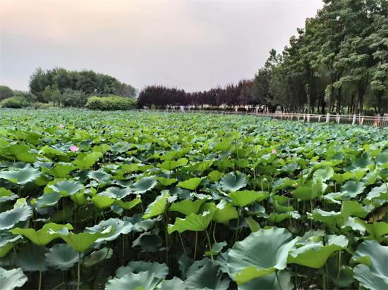 旧物与自我价值的觉醒