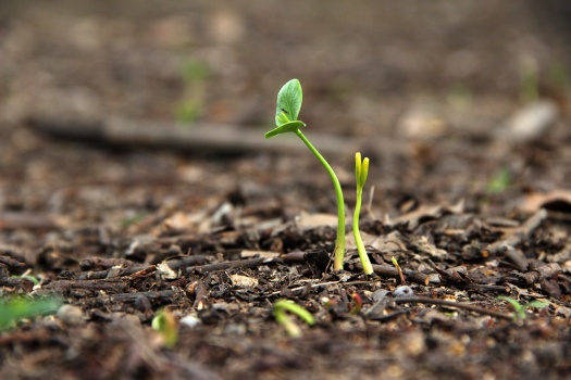 怎样交到一辈子的朋友?