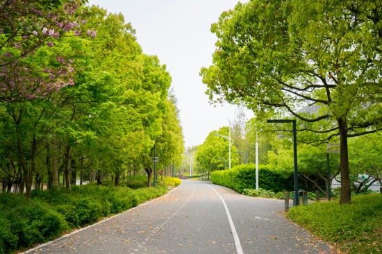 叙事疗法的心理治疗范式与实践路径