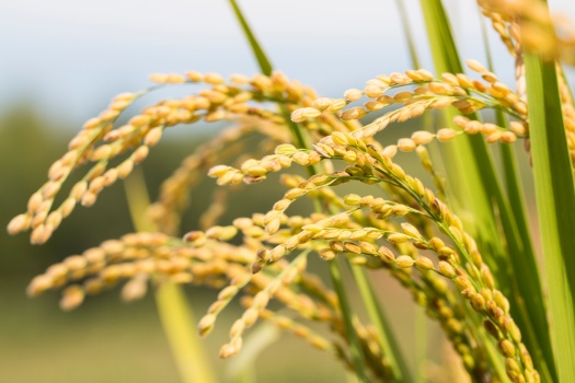 如何应对情感中的爱意渐远