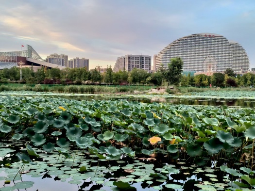 当评议来临时如何寻找出路