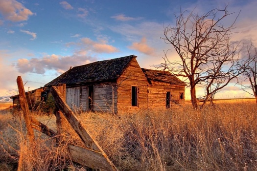 在觉察与行动中治愈内心