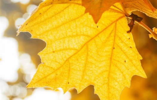 处理婚姻危机的智慧之道