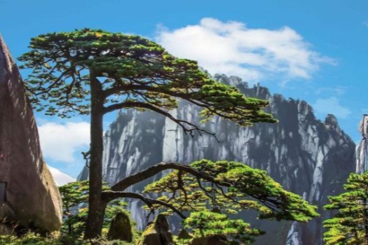 付出者才能照见光明