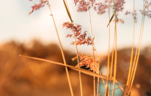 当问题不再是“我们”