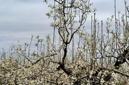 两代人之间的心灵和解