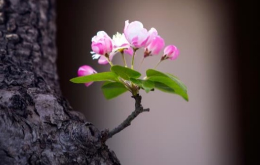 朋友是流动的